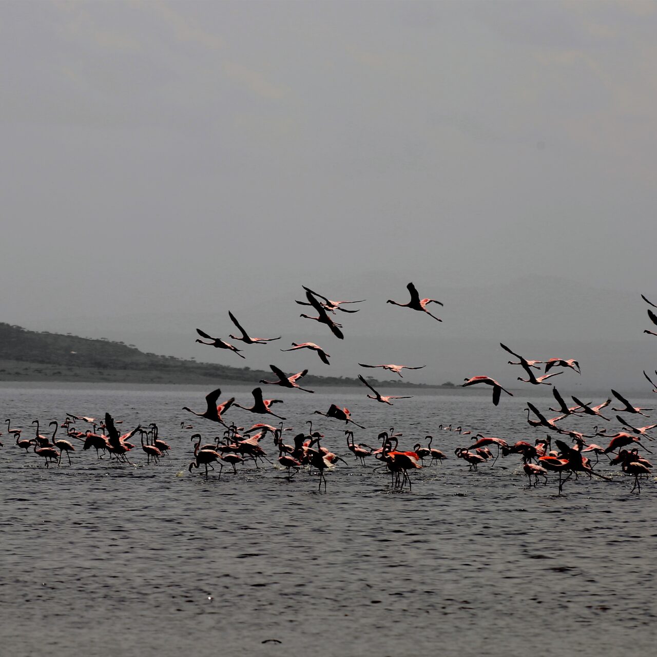 Ethiopia Rift Valley Lakes Tour