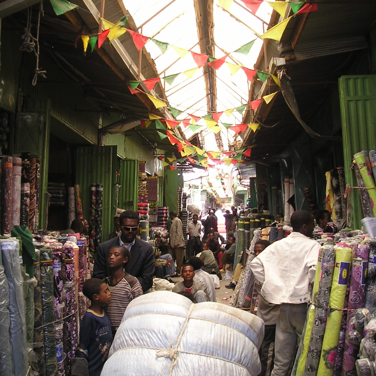 Addis Ababa Half-Day City Tour