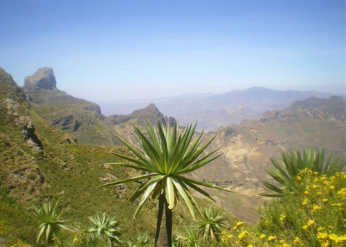 Simien Mountains &quot;Trekking on the Roof of Africa&quot; — 10 Days