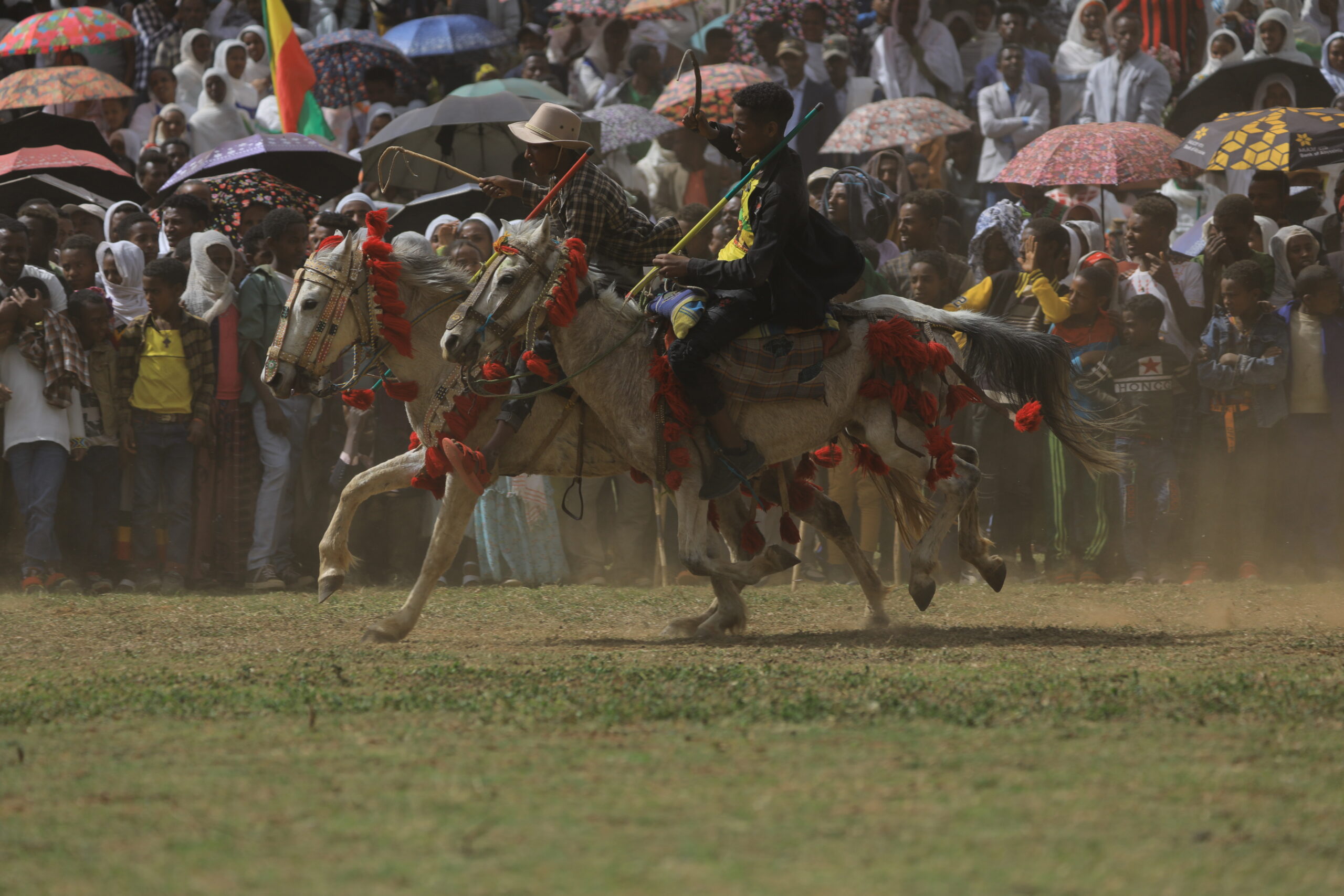 Horse Racing - Este Densa (1) Horse Racing - Este Densa (1)