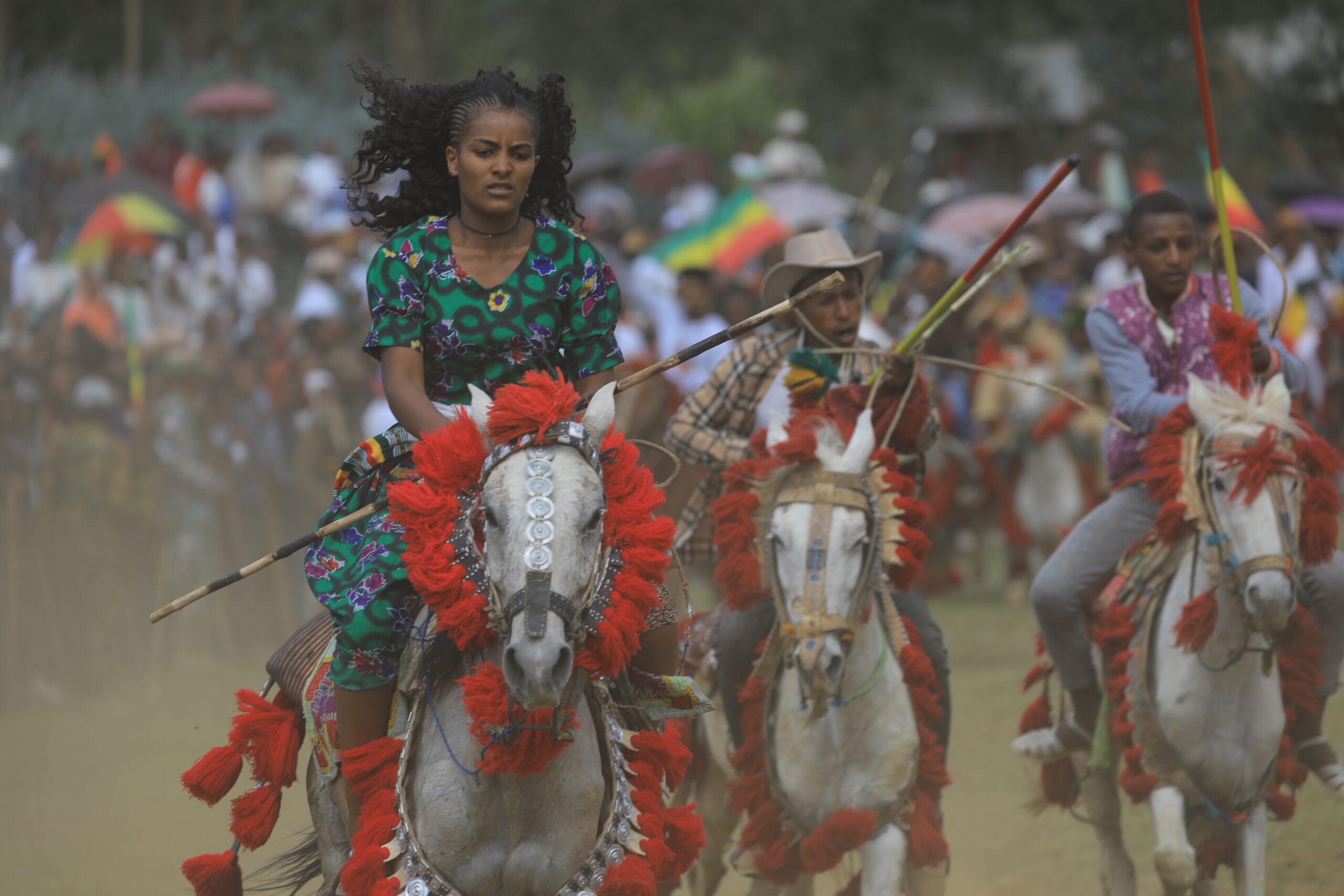 Horse Racing - Este Densa (4) Horse Racing - Este Densa (4)