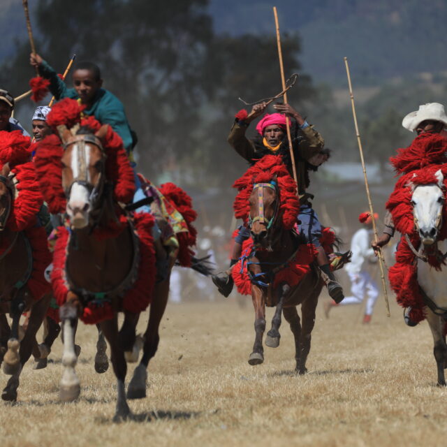 Horse Racing - Este Densa (6)