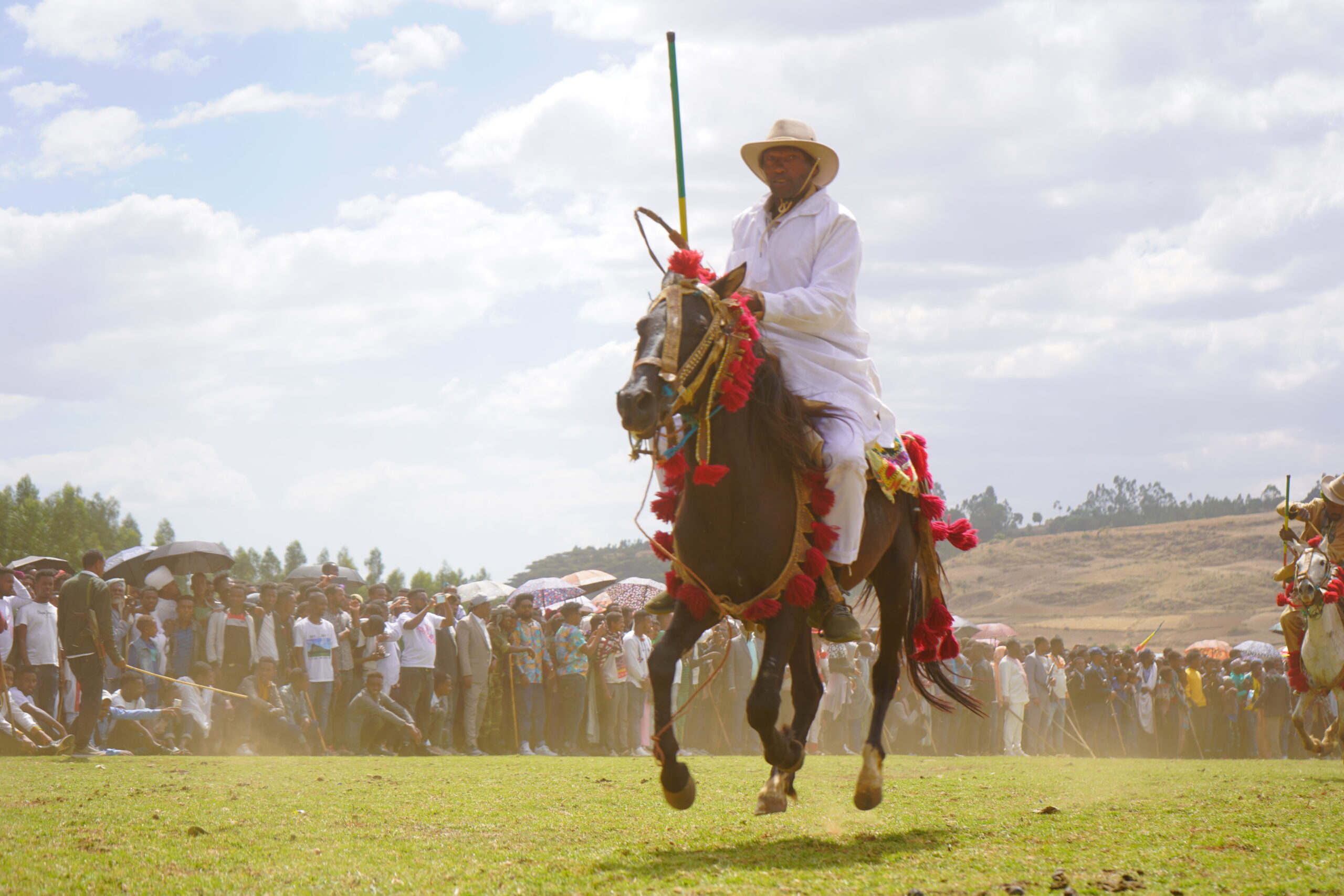 Horse Riding - Este (4) Horse Riding - Este (4)