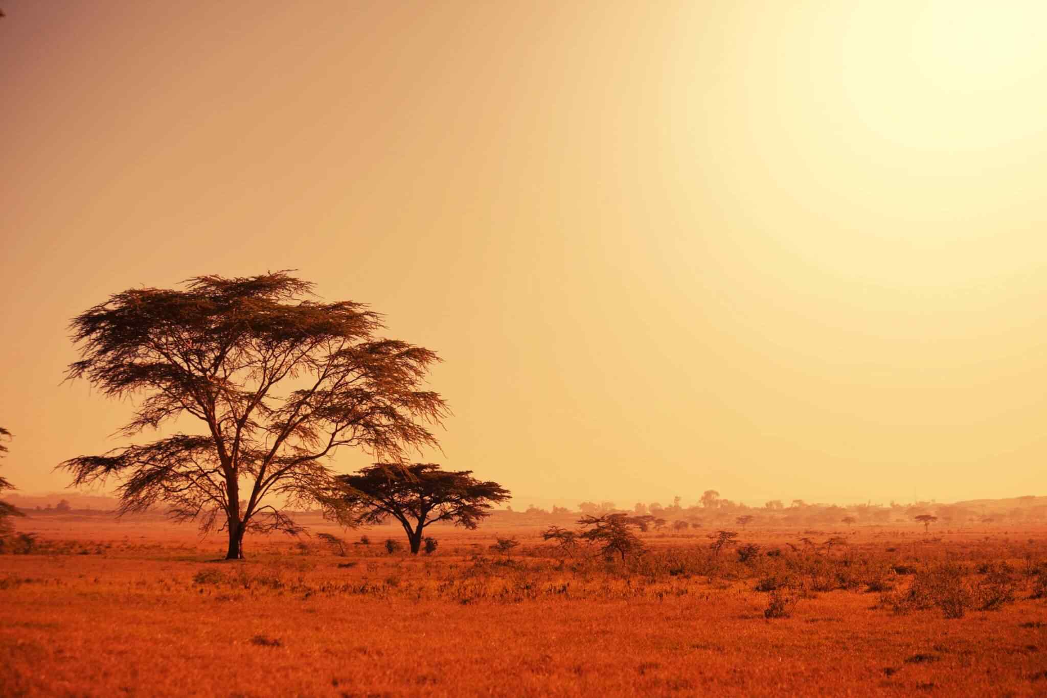 https://grandholidaysethiopia.com/wp-content/uploads/2018/09/tour-africa-02.jpg