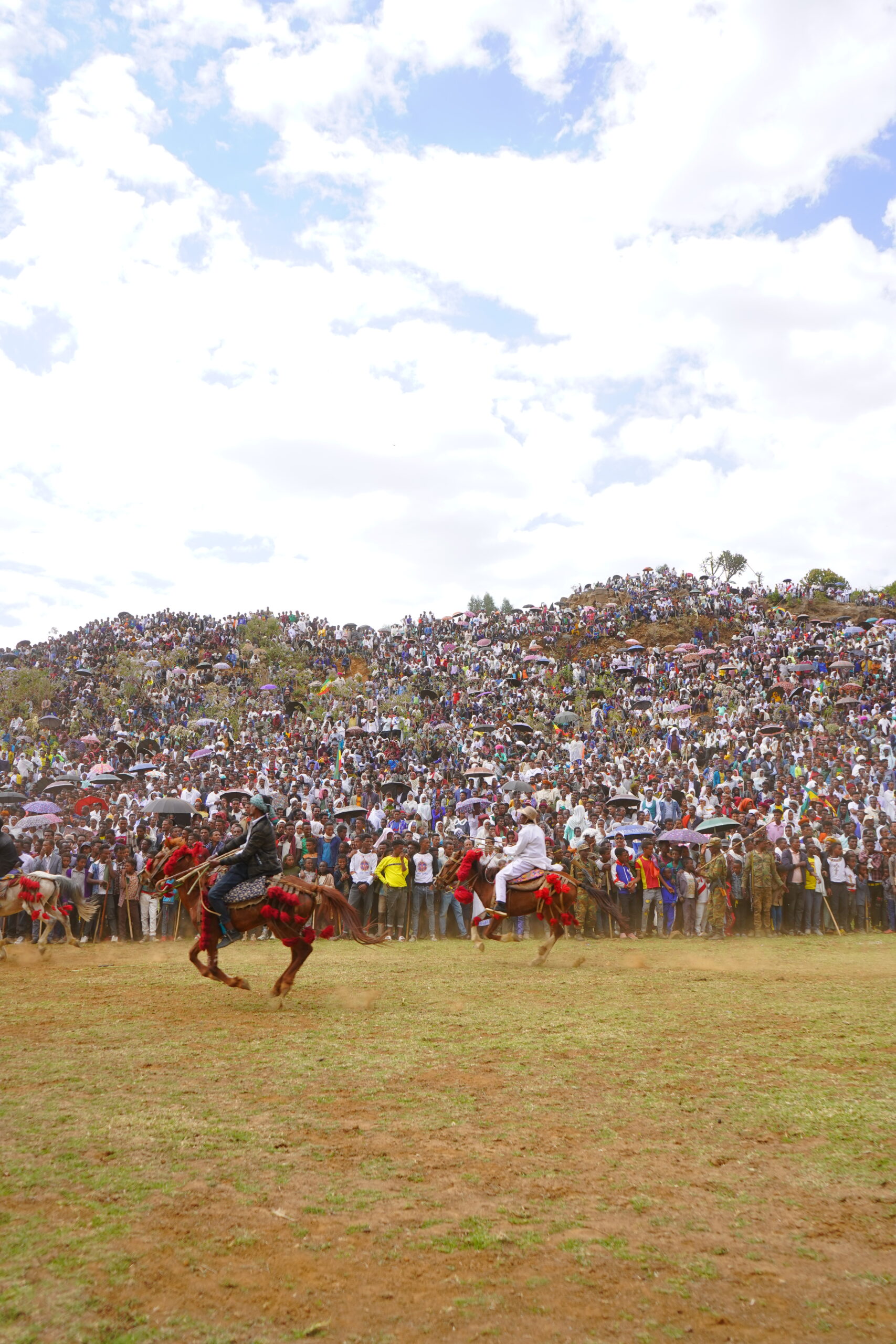 Este Merkorios Horse Festival (2) Este Merkorios Horse Festival (2)