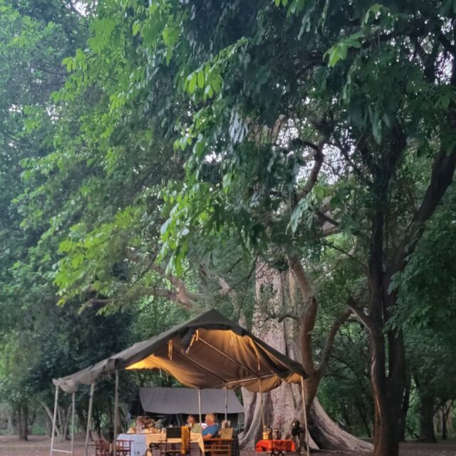 Camping with grand holidays 1 https://grandholidaysethiopia.com/wp-content/uploads/2025/06/Camping-with-grand-holidays-1--640x640.jpg