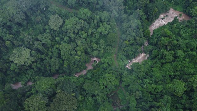 Kaffa Biosphere Reserve: The Mecca of Coffee in the Land of Origins